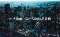 热搜榜单：国产SUV精品登场