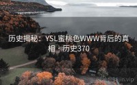 历史揭秘：YSL蜜桃色WWW背后的真相 · 历史370