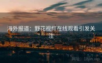 海外报道：野花视频在线观看引发关注